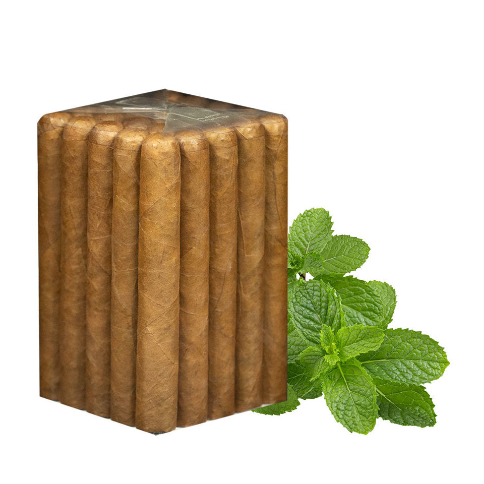 6 x 52 Menta