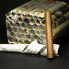 Toro 6x52 Habano Sweet Gum Super Premium Newspaper JL4